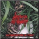 Last Days Of Humanity / 2 Minuta Dreka - Putrefaction In Italy / No More Screamin'